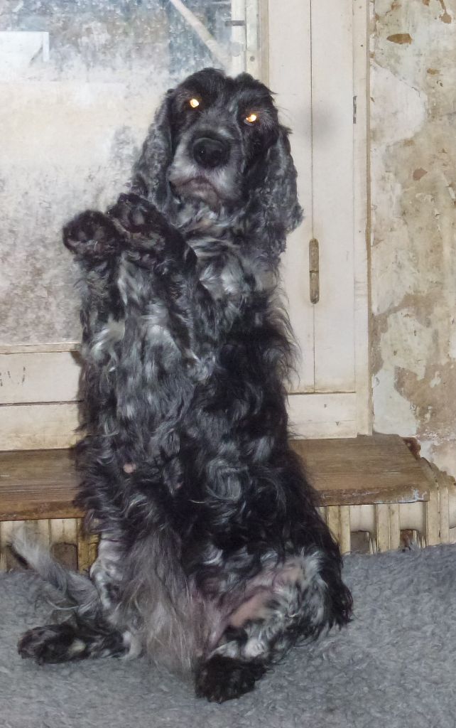 Iana dite souk Ar Ti Marellek